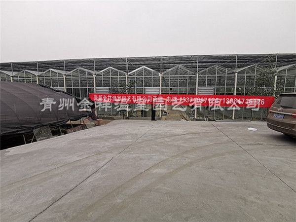 玻璃溫室大棚